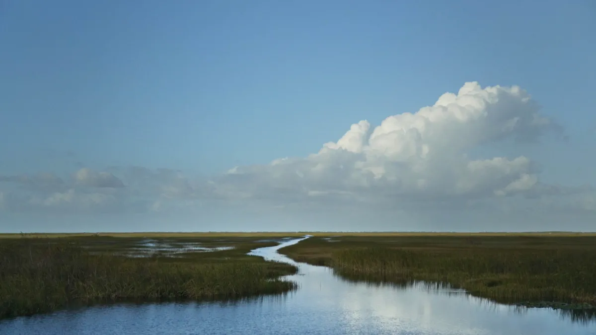 Exclusive: Clip From Sasha Wortzel’s ‘River of Grass’